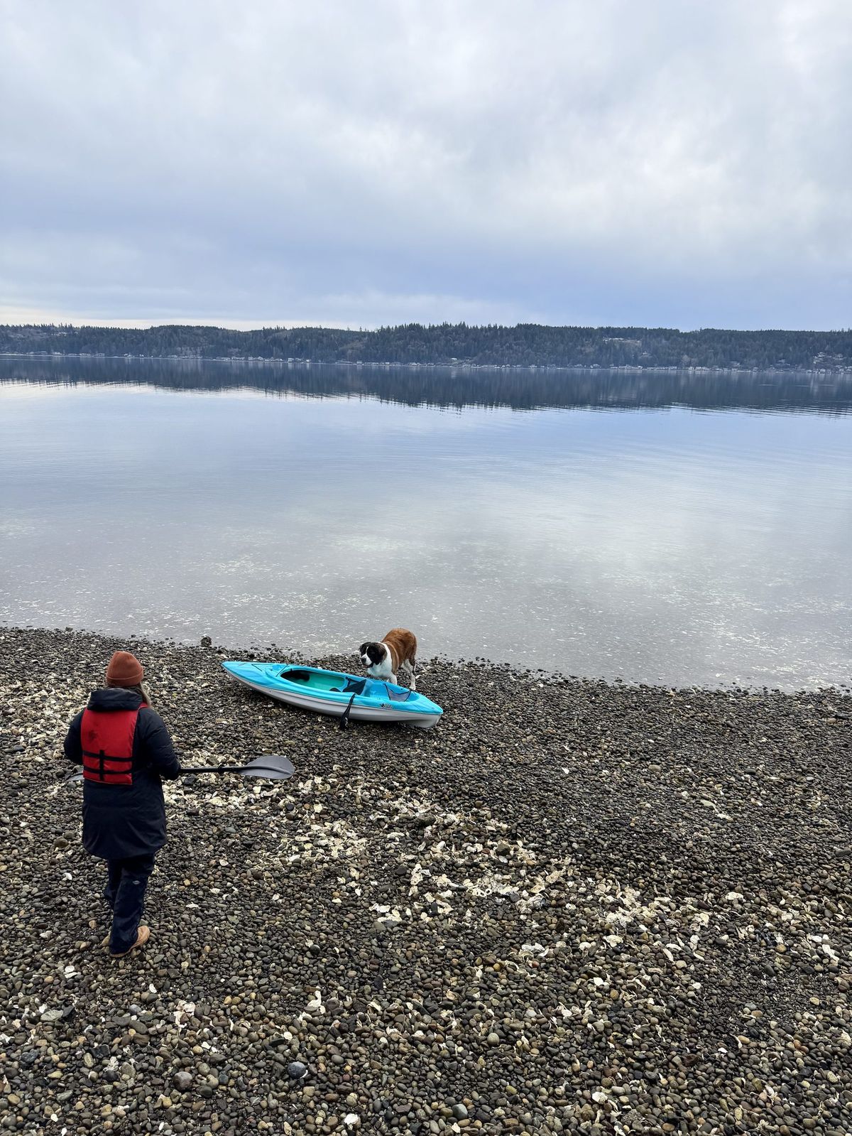 Dog and child on Hood Canal pebble beach