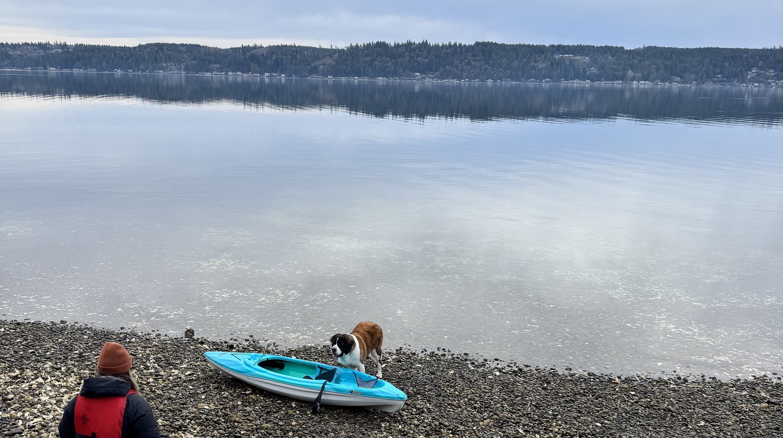 Kayaker with dog on the pebble beach at Hood Canal near Hoodsport, Washington